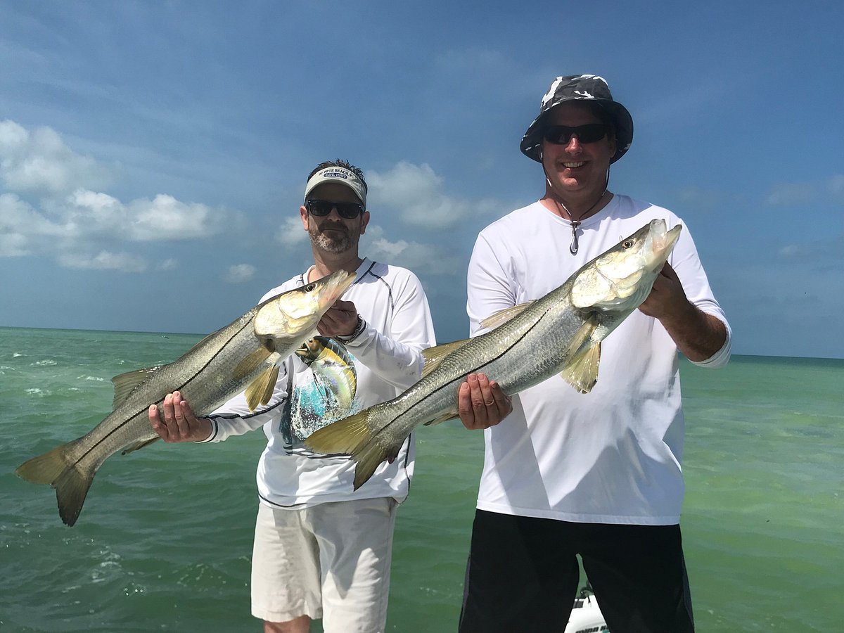 Coastal Chaos Fishing Charters  Visit St Petersburg Clearwater