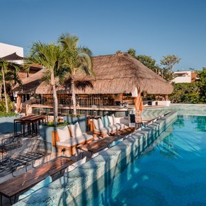 Pool and Bar Area