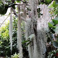Highland Botanical Park and Lamberton Conservatory (Rochester) - All ...