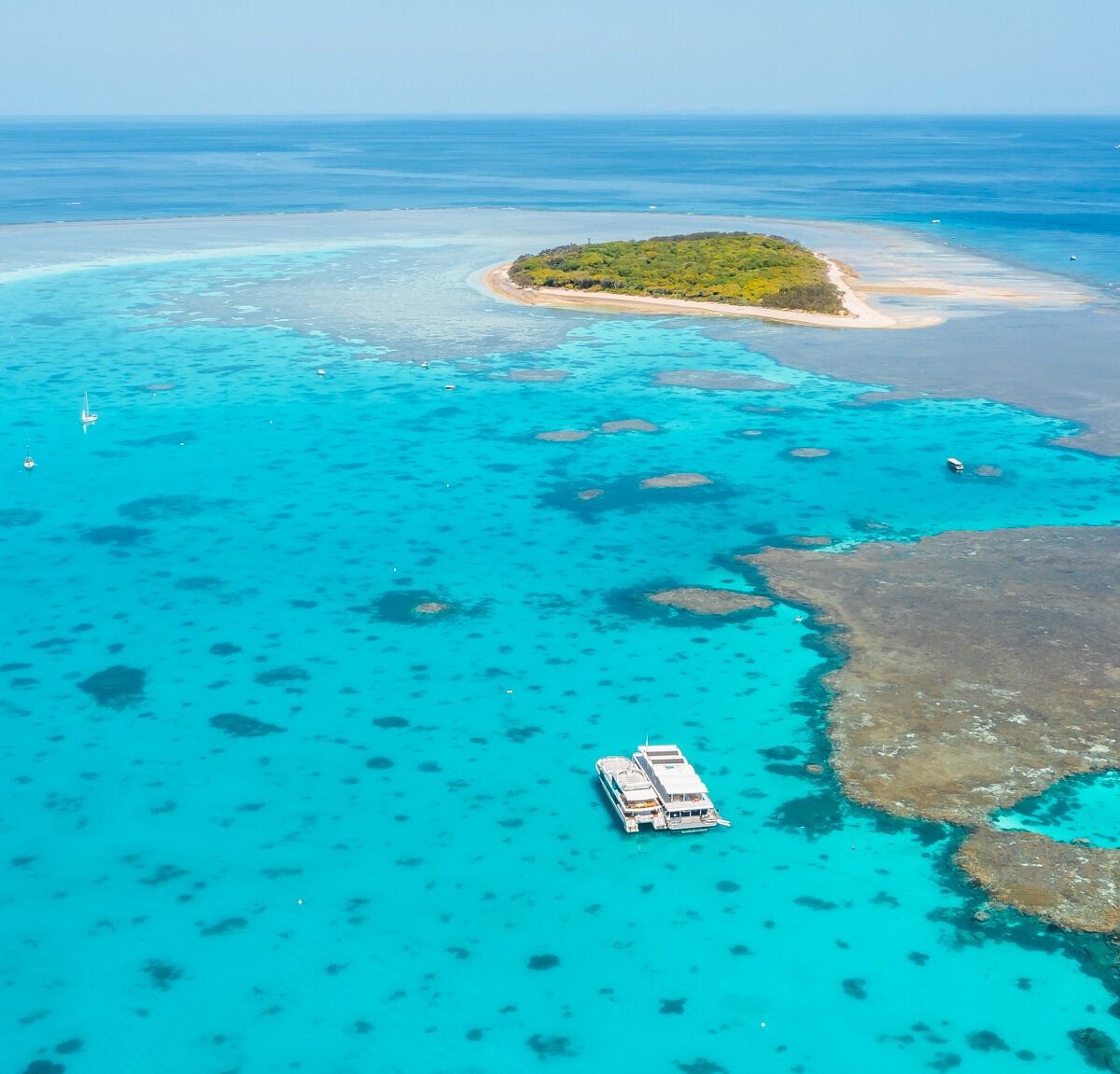 lady musgrave island tours from bundaberg