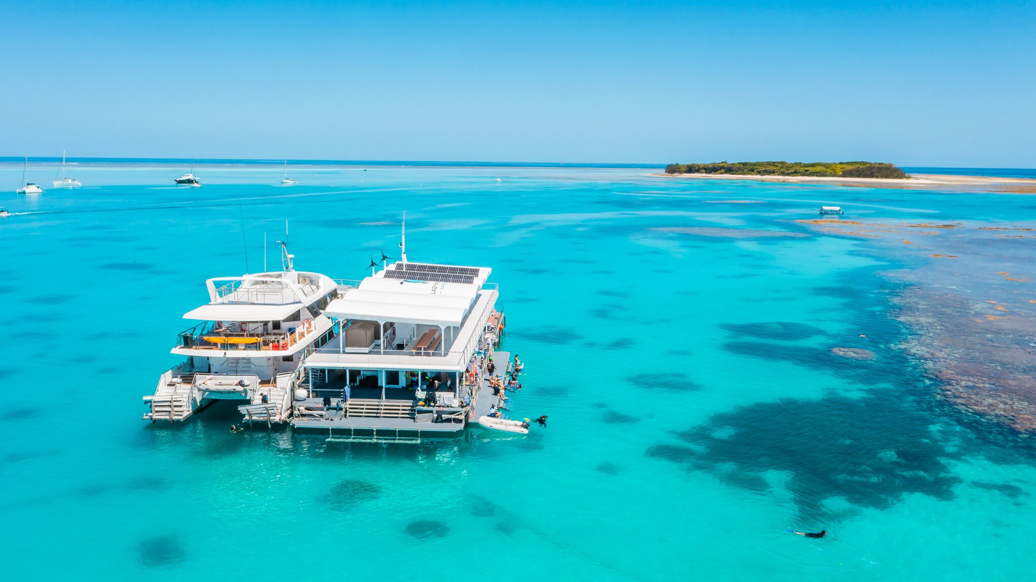 Lady Musgrave Experience - Bundaberg Reef Tours: All You Need To Know