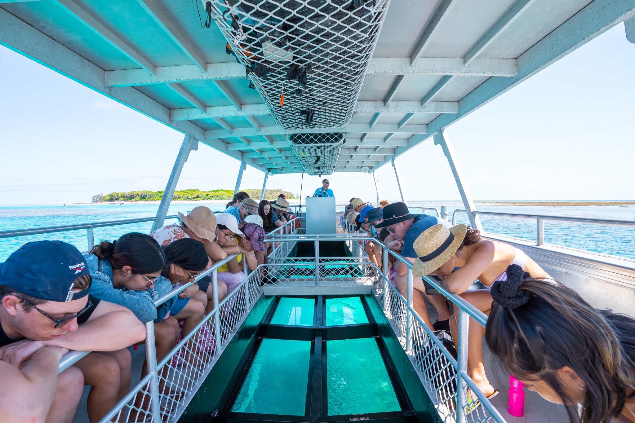 Lady Musgrave Experience - Bundaberg Reef Tours - All You Need To Know ...