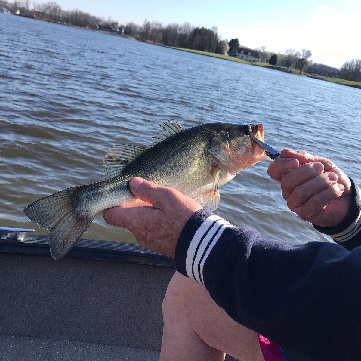 West Boggs Lake in Southern Indiana is a Fishing Gem - MidWest Outdoors