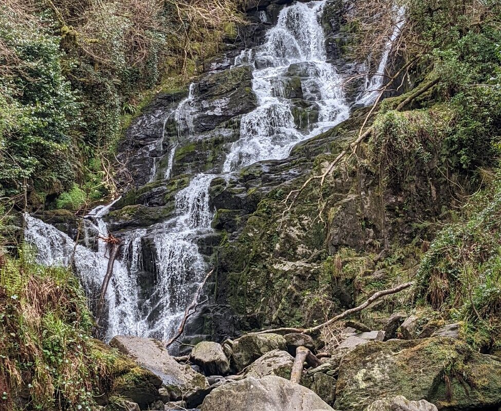 Munsterbus Tours (Cork) - All You Need to Know BEFORE You Go