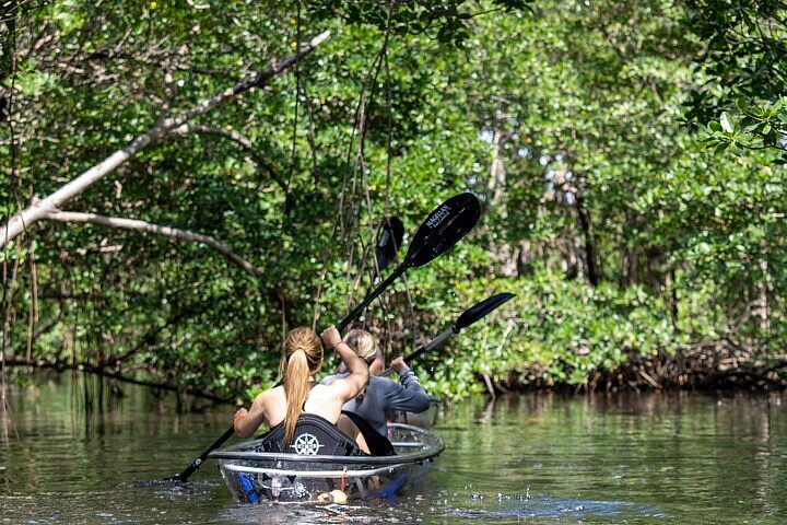 2024 Clear Kayak Tour in North Miami Beach - Mangrove Tunnels