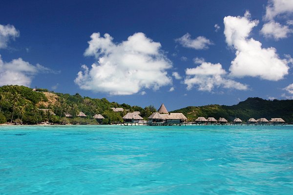 Du lịch Bora Bora năm 2022: hoạt động giải trí tại Bora Bora | Tripadvisor