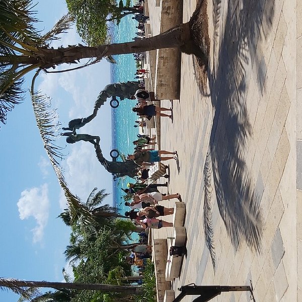My Image 11