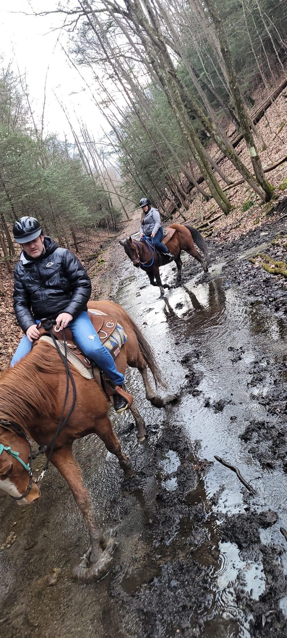 2022 Top View Riding Ranch   Top View Riding Ranch 