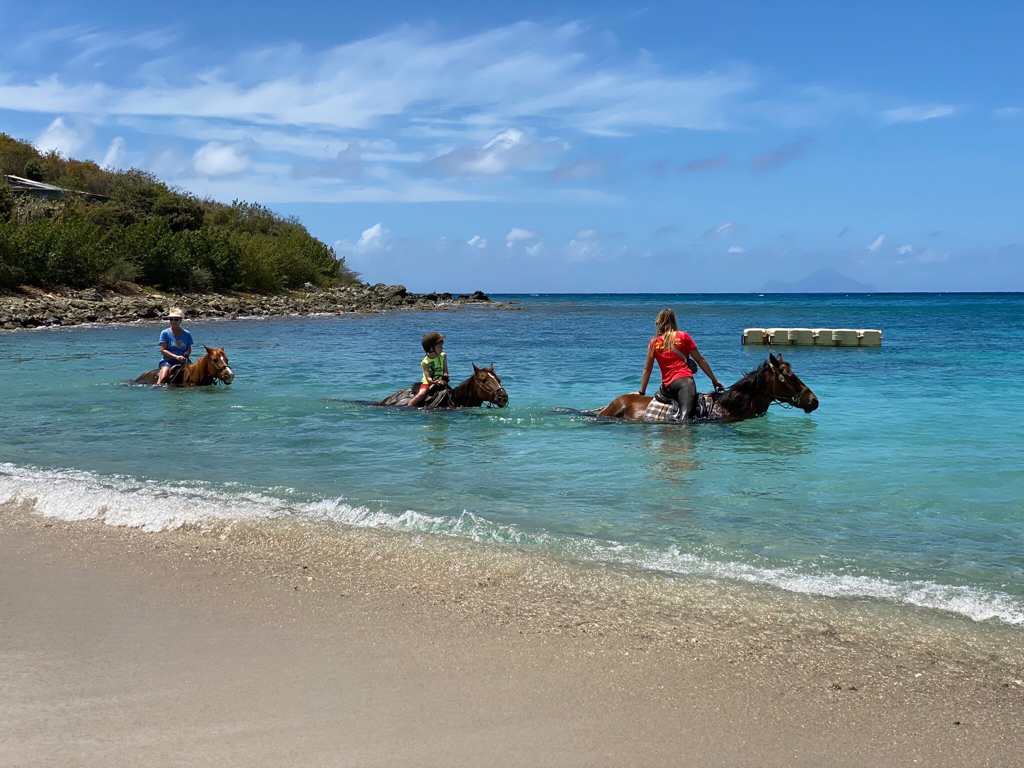 Lucky Stables (Sint Maarten) - All You Need to Know BEFORE You Go