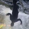 animalmadUk