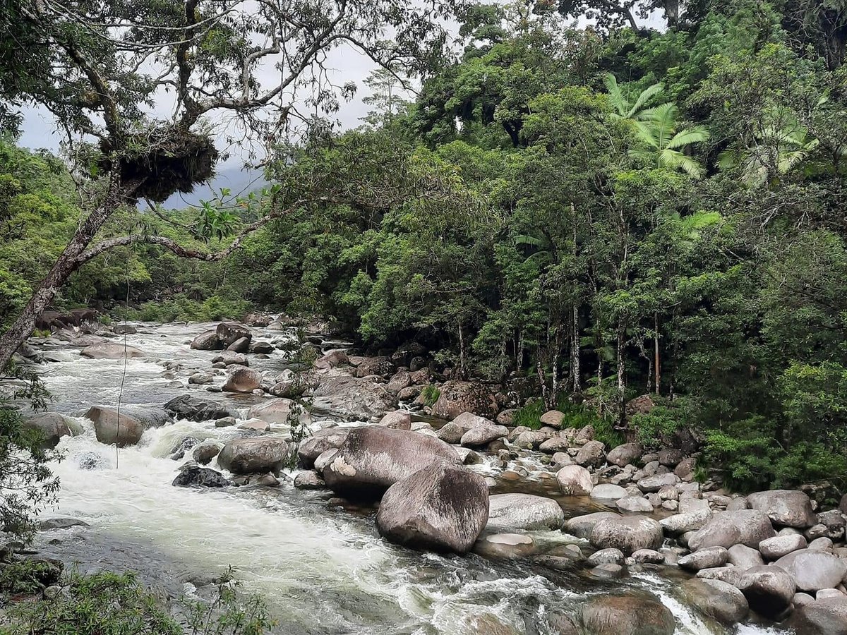 Mossman Gorge (Port Douglas) - All You Need to Know BEFORE You Go