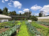 Caoba Farms, Antigua Guatemala: 2018 Visitors Guide - OkAntigua