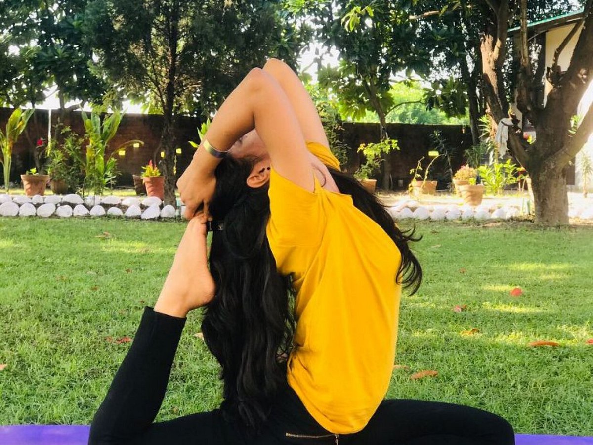Hatha Yoga School Rishikesh on X: Yoga Diet for Yoga Beginners - The Yogic  Diet, which help the yoga practitioner to improve your health and yoga diet  for weight loss.  #SaturdayFeeling #