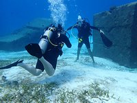 Scuba Hunt-Cozumel (Dive Challenge Game) - All You Need to Know BEFORE You  Go