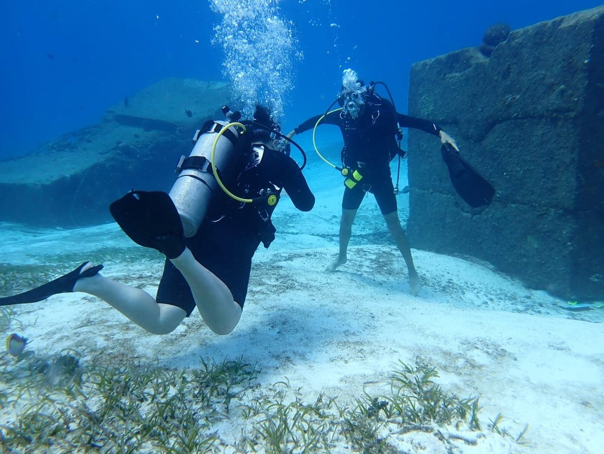 Scuba Hunt-Cozumel (Dive Challenge Game) - All You Need to Know BEFORE You  Go (2024)