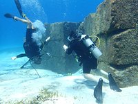 Scuba Hunt-Cozumel (Dive Challenge Game) - All You Need to Know BEFORE You  Go