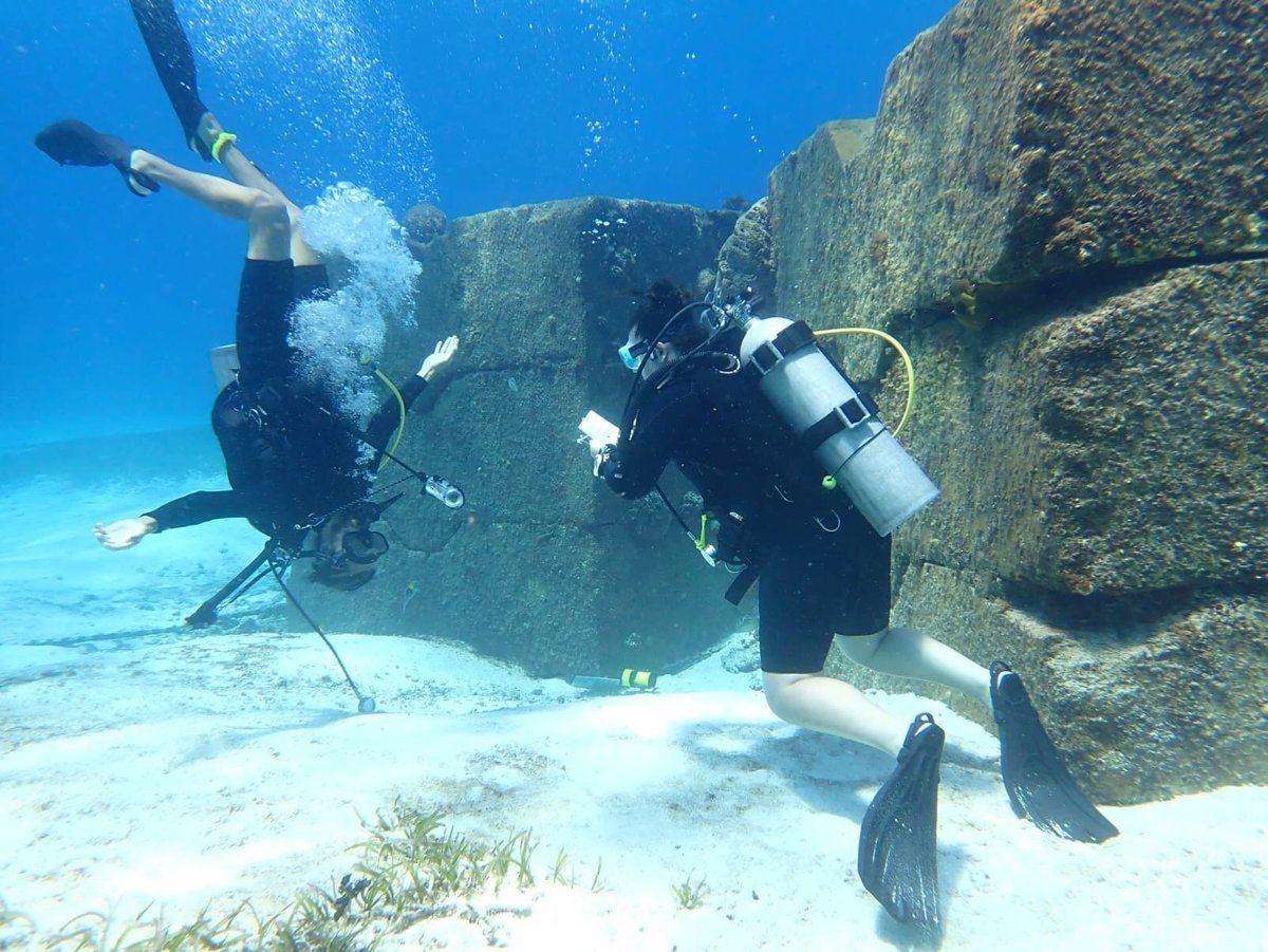 Scuba Hunt-Cozumel (Dive Challenge Game) - All You Need to Know BEFORE You  Go (2024)