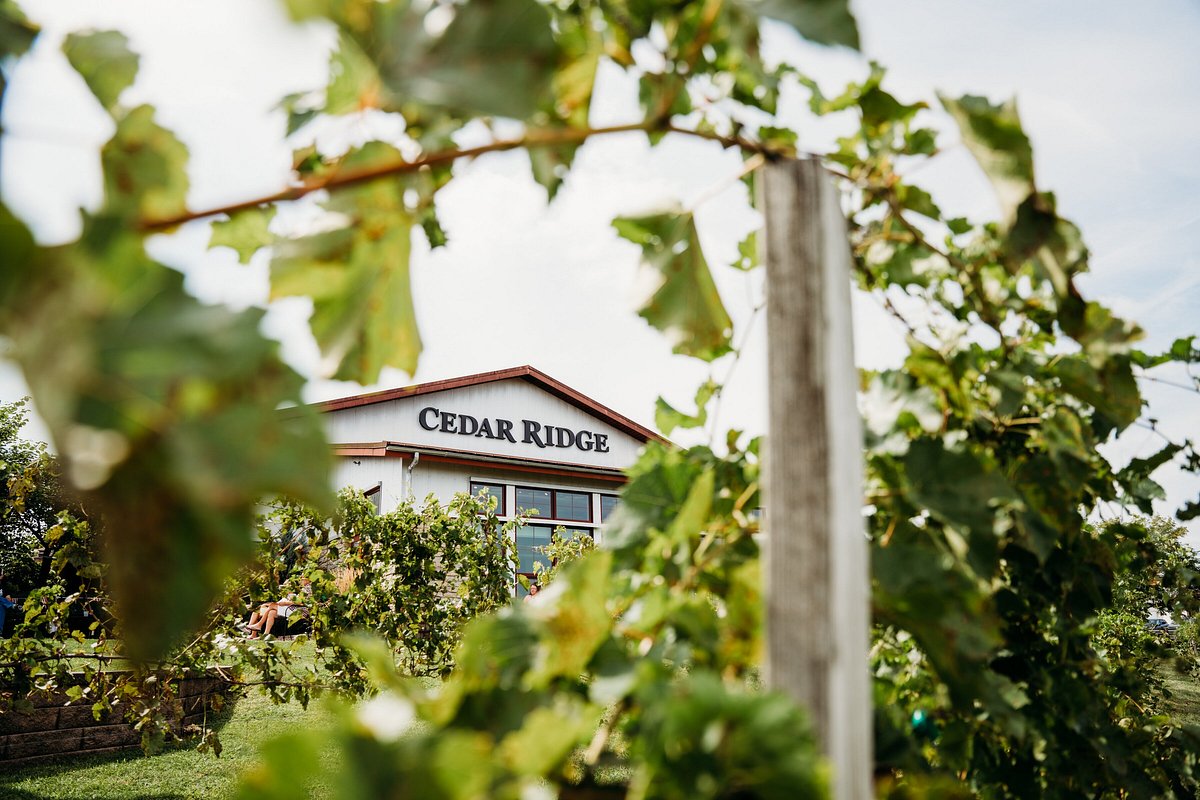 Cedar Ridge Winery Distillery (Swisher) All You Need to Know BEFORE
