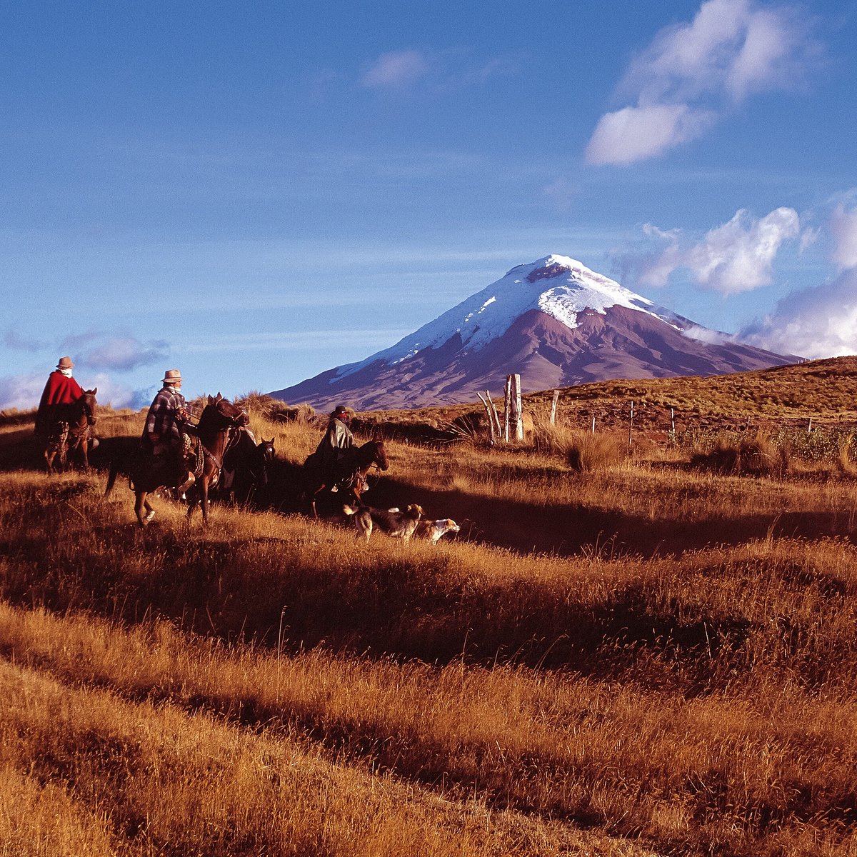 exoticca travel ecuador