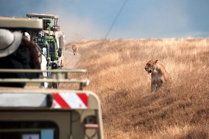 2024 Arusha Serengeti And Ngorongoro Wonders Of Africa 3 Days Safari   Caption 