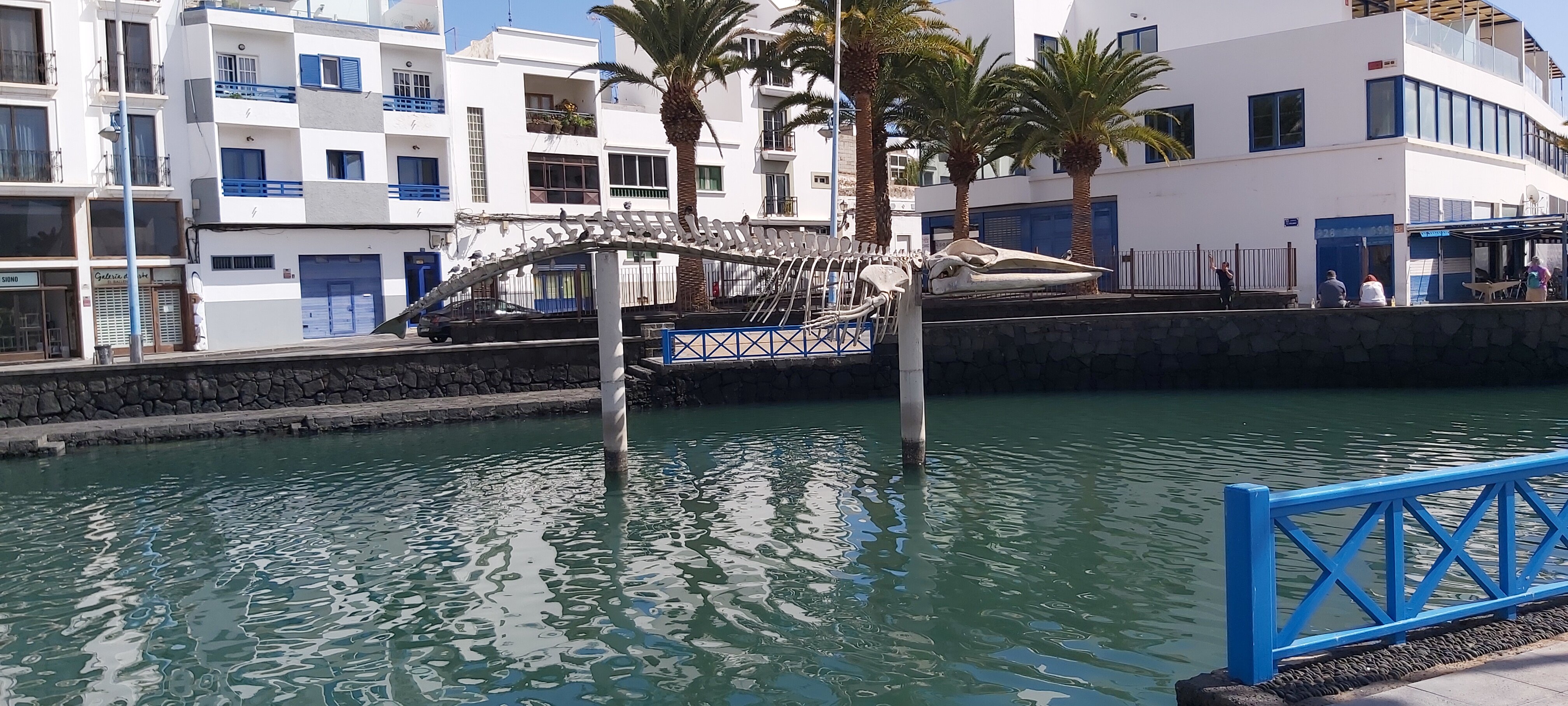 Esqueleto De Ballena (Arrecife, Spanyol) - Review - Tripadvisor