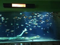 22年 青森県営浅虫水族館 行く前に 見どころをチェック トリップアドバイザー