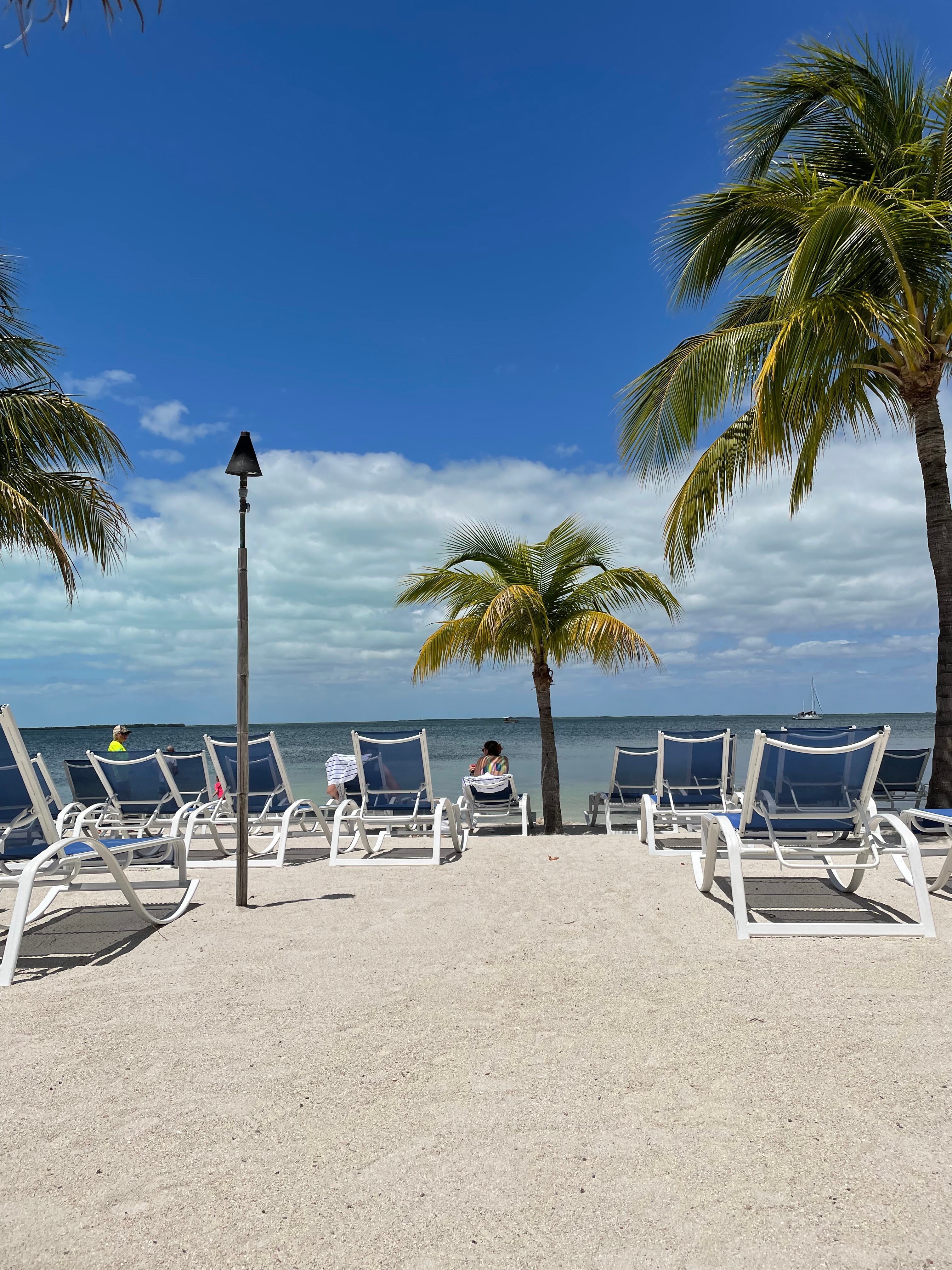 REEFHOUSE RESORT & MARINA - Updated 2024 Prices & Reviews (Key Largo, FL)