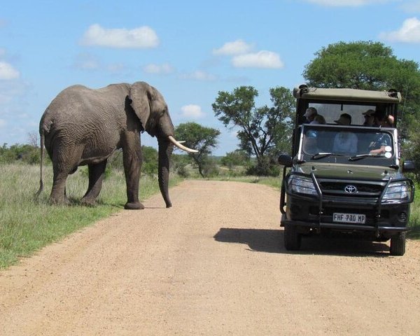 JOHANNESBURG ZOO - All You Need to Know BEFORE You Go