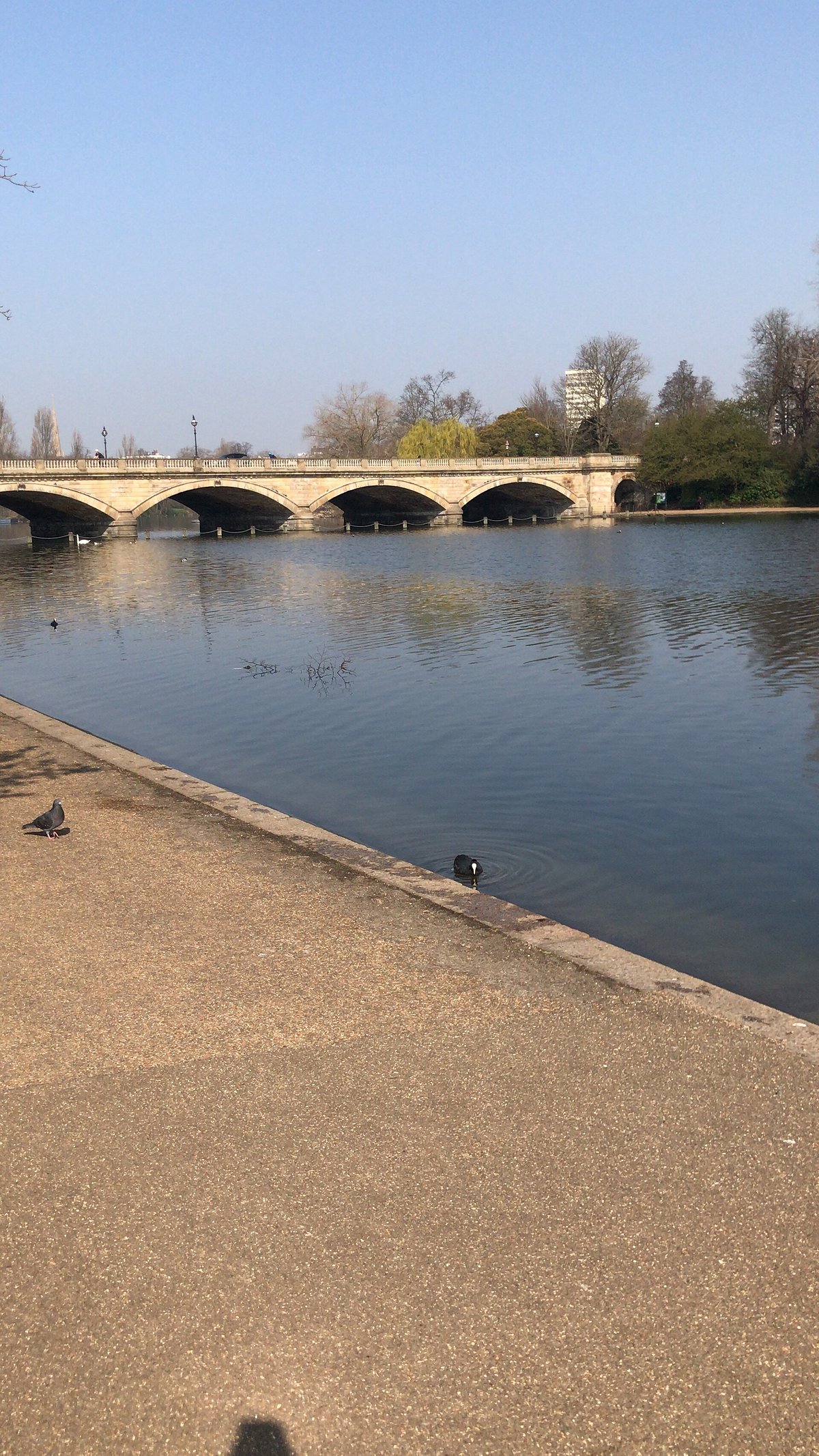 Serpentine Bridge, Лондон: лучшие советы перед посещением - Tripadvisor