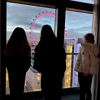 Kids looking out at the view of the London eye from hotel Park Plaza County Hall London
