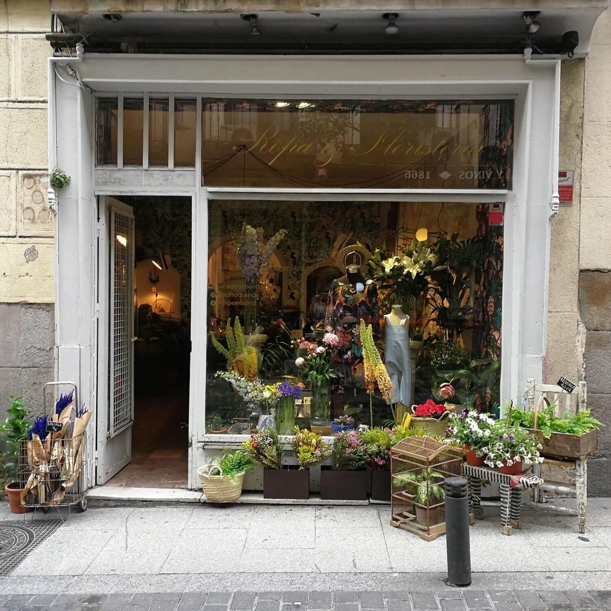 Adhoc Flores Floristería Madrid (Spain): Hours, Address - Tripadvisor