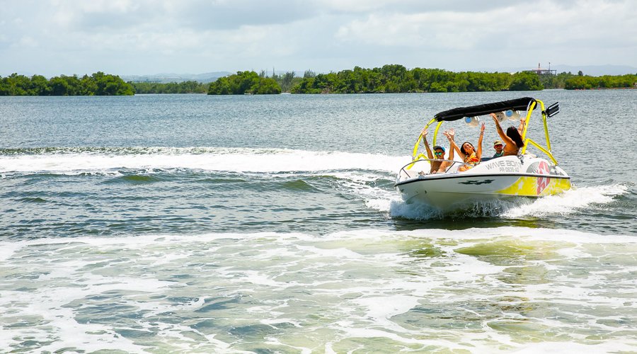 Boat Tours/Activities