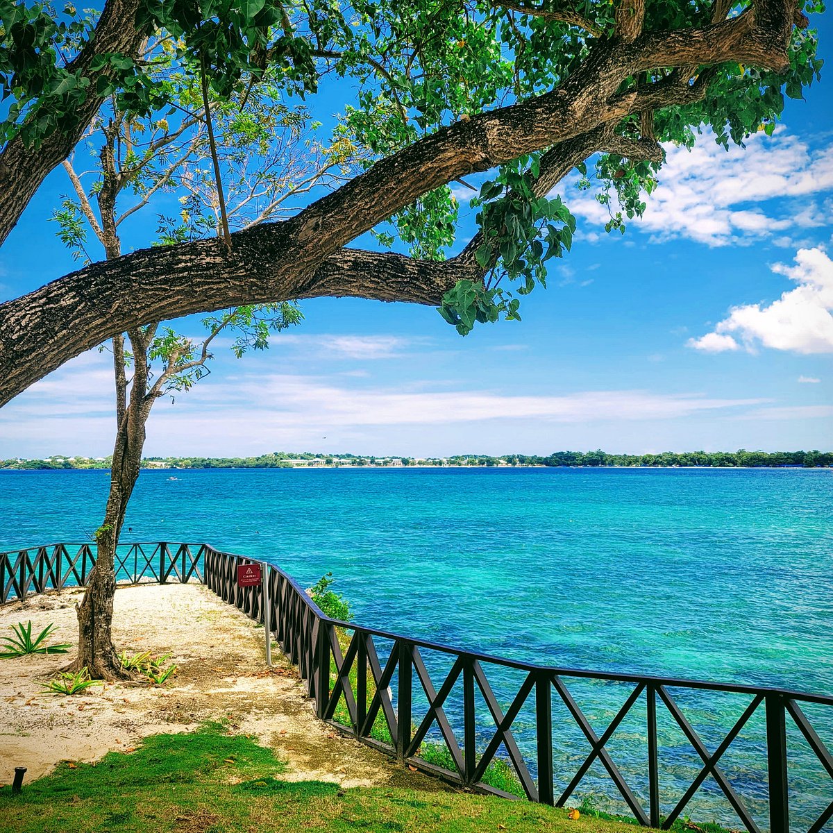 GRAND LIDO NEGRIL AU-NATUREL, AN AUTOGRAPH COLLECTION ALL-INCLUSIVE RESORT  - ADULTS ONLY - Updated 2024 Prices & Resort (All-Inclusive) Reviews  (Jamaica)