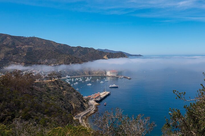 2024 2 Hour Inside Adventure Tour On Catalina Island   Caption 