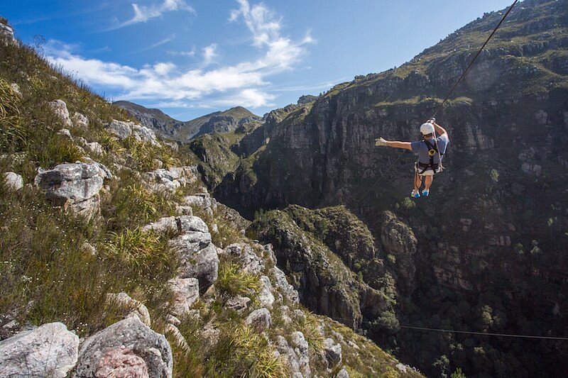 cape canopy tour south africa