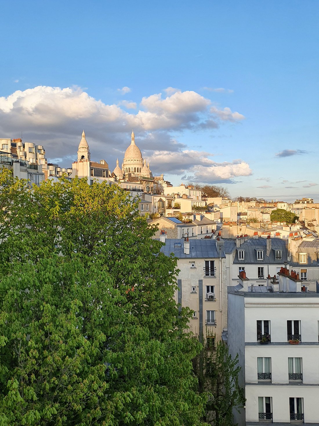 TIMHOTEL MONTMARTRE (Париж) - отзывы, фото и сравнение цен - Tripadvisor