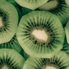 katkiwi1