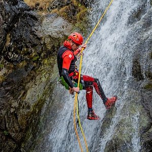 shearwater coastal cruises