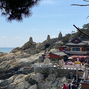 day trip in busan