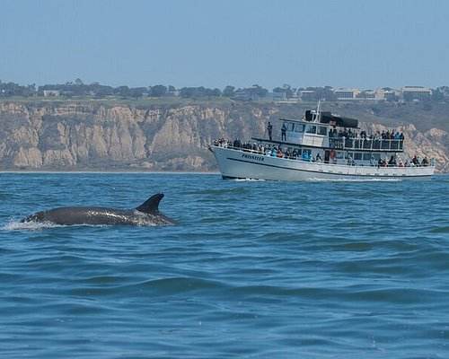 tour guide in san diego