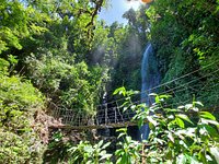 Cascadas El Tigre: 326 fotos - Guanacaste, Costa Rica