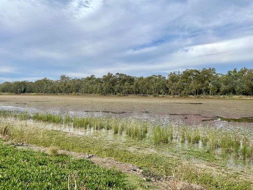 Stories  Rotary Club of Numurkah