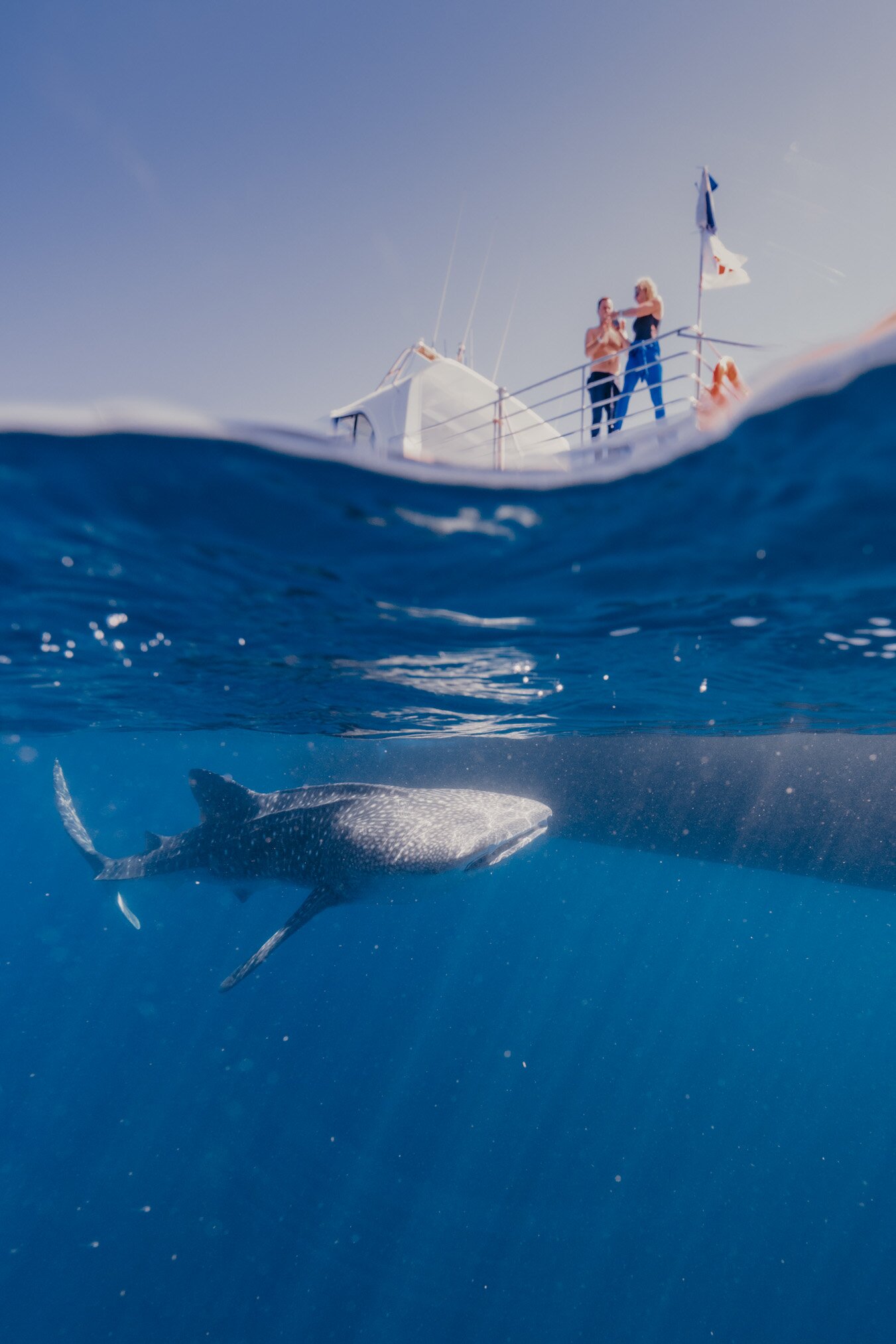 NINGALOO BLUE DIVE (Exmouth): Ce Qu'il Faut Savoir Pour Votre Visite