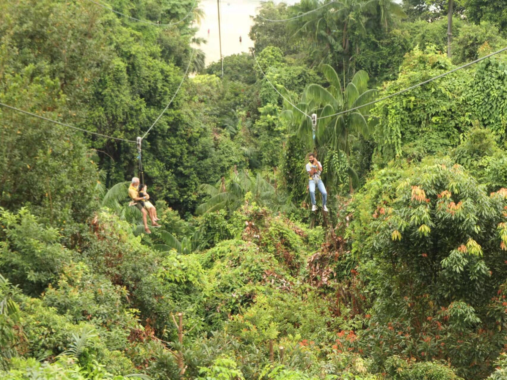 Mega Adventure Park: MegaZip, MegaClimb & MegaJump