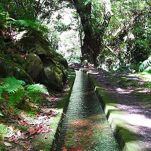 THE 5 BEST Things to Do in Sao Jorge - 2023 (with Photos) - Tripadvisor