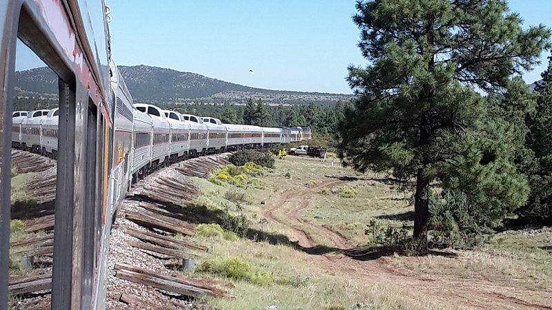 A train curves from the left (close) to the right (far) out of frame with light green grass at its edges and a distant mountain in the background