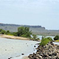 Flamingo Sanctuary Sint Willibrordus - All You Need to Know BEFORE You Go