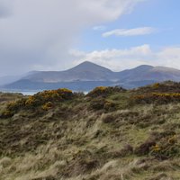 Murlough National Nature Reserve (Newcastle) - All You Need to Know ...