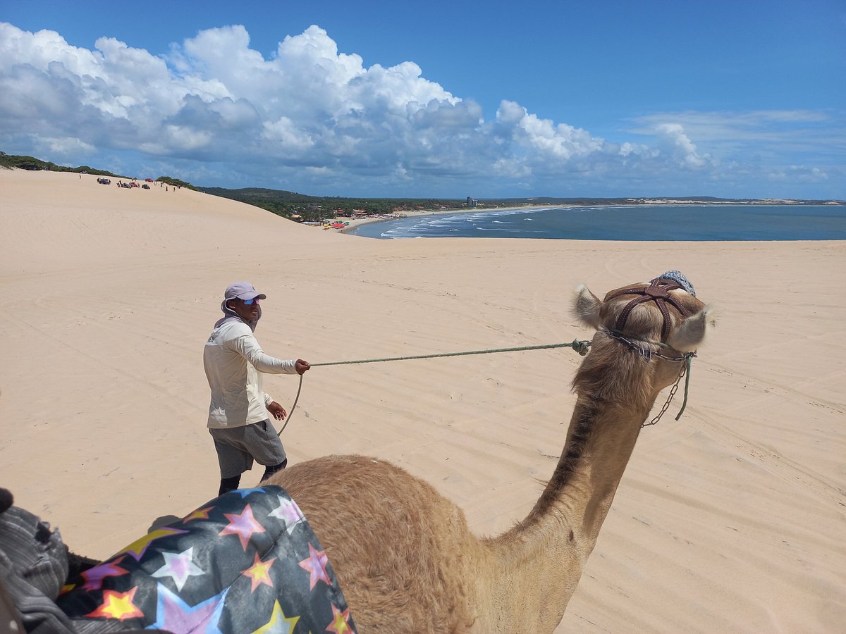 Dromedunas (Natal) - ATUALIZADO 2023 O que saber antes de ir - Sobre o que as pessoas estão falando - Tripadvisor Dromedunas (Natal) - ATUALIZADO 2023 O que saber antes de ir - Sobre o que as pessoas estão falando - Tripadvisor