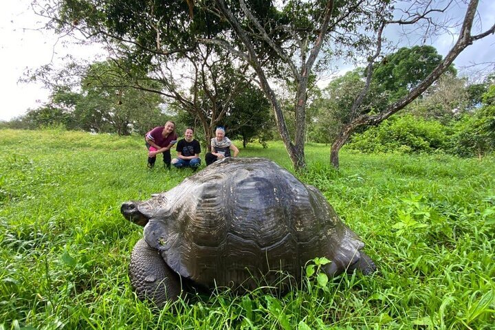 Tripadvisor | Luxo De 5 Dias Em Galápagos: Santa Cruz, Isabela, Com Voo ...